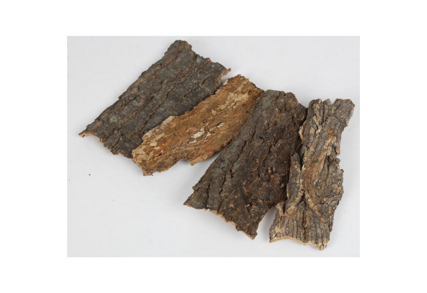 BURI Rindenscheiben Baumrinde Dekoration Basteln Terrarium Holz Tisch Floristin Trocken Bild 3