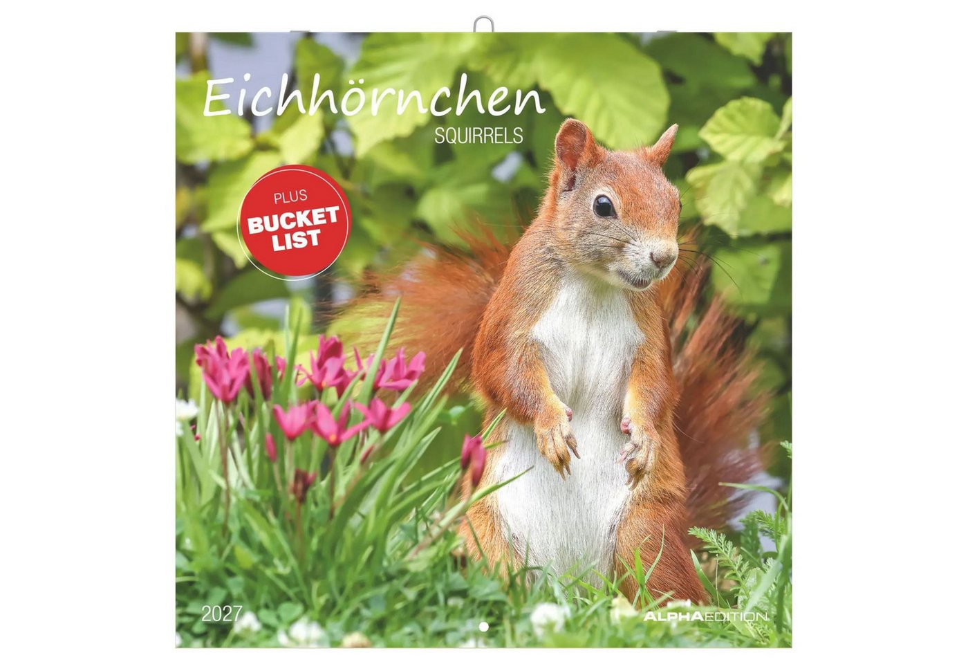 NEUMANN Wandkalender Eichhörnchen 2027 Bild 4