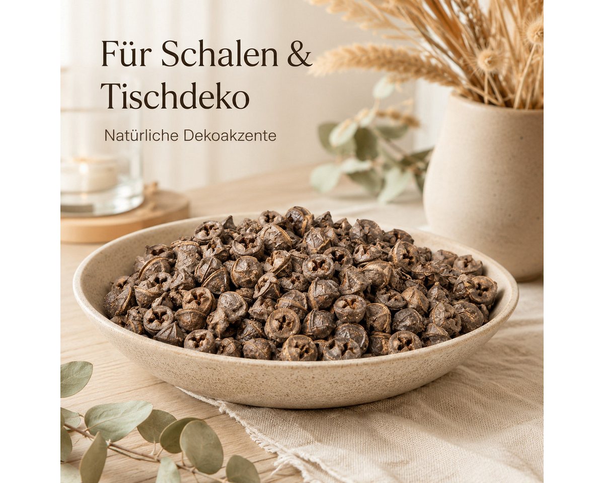 NaDeco Bastelnaturmaterial Eukalyptus globulus 0,5kg Eukalyptusfrüchte