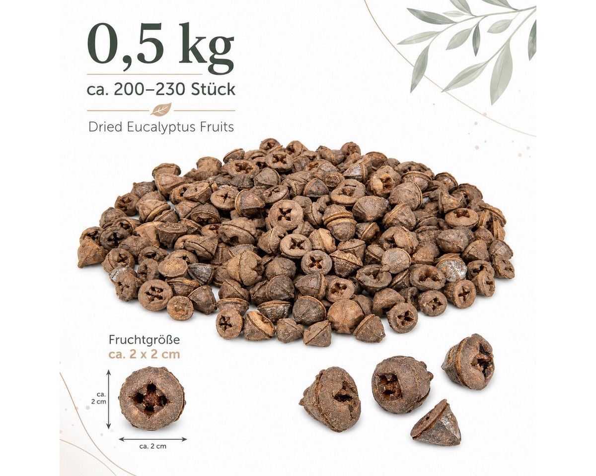 NaDeco Bastelnaturmaterial Eukalyptus globulus 0,5kg Eukalyptusfrüchte Bild 2