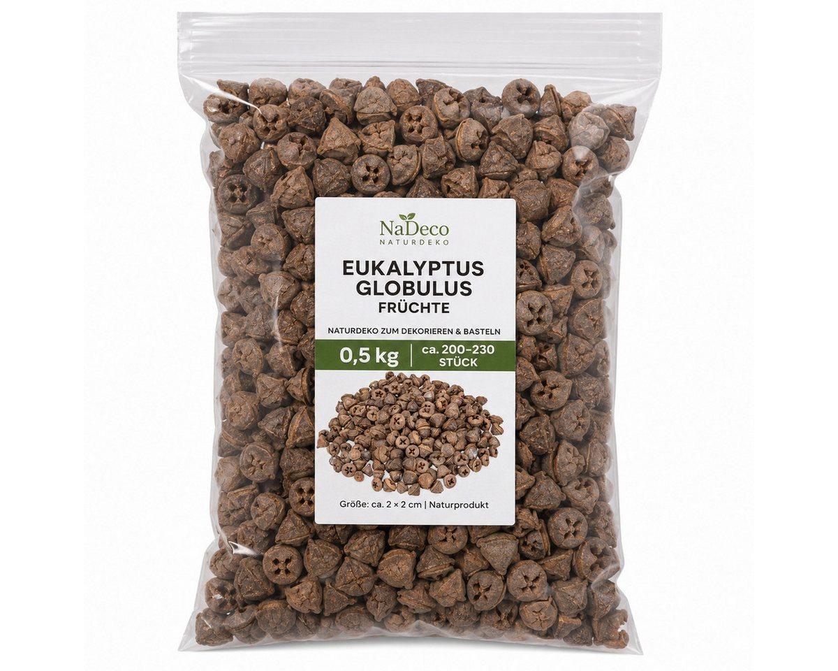 NaDeco Bastelnaturmaterial Eukalyptus globulus 0,5kg Eukalyptusfrüchte Bild 3