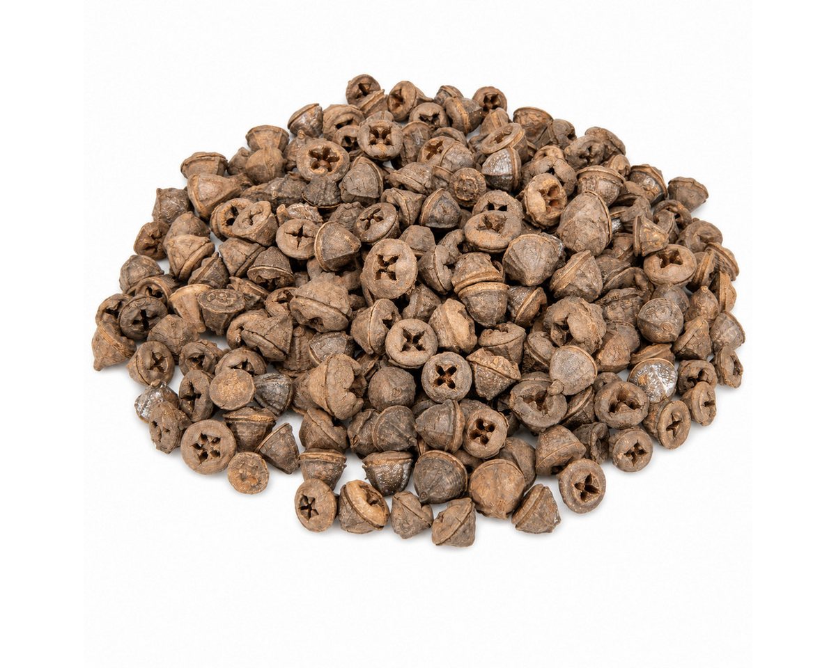 NaDeco Bastelnaturmaterial Eukalyptus globulus 0,5kg Eukalyptusfrüchte Bild 4