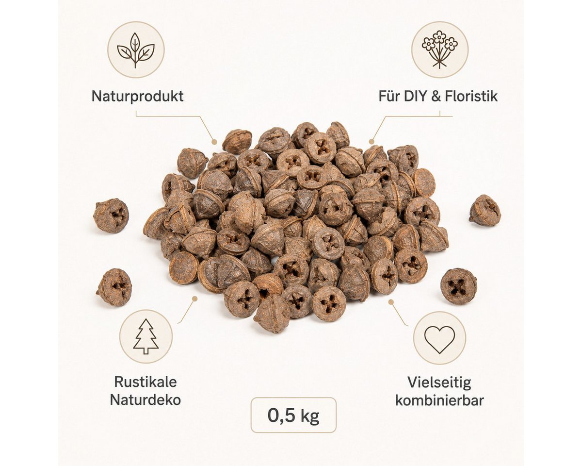 NaDeco Bastelnaturmaterial Eukalyptus globulus 0,5kg Eukalyptusfrüchte Bild 5