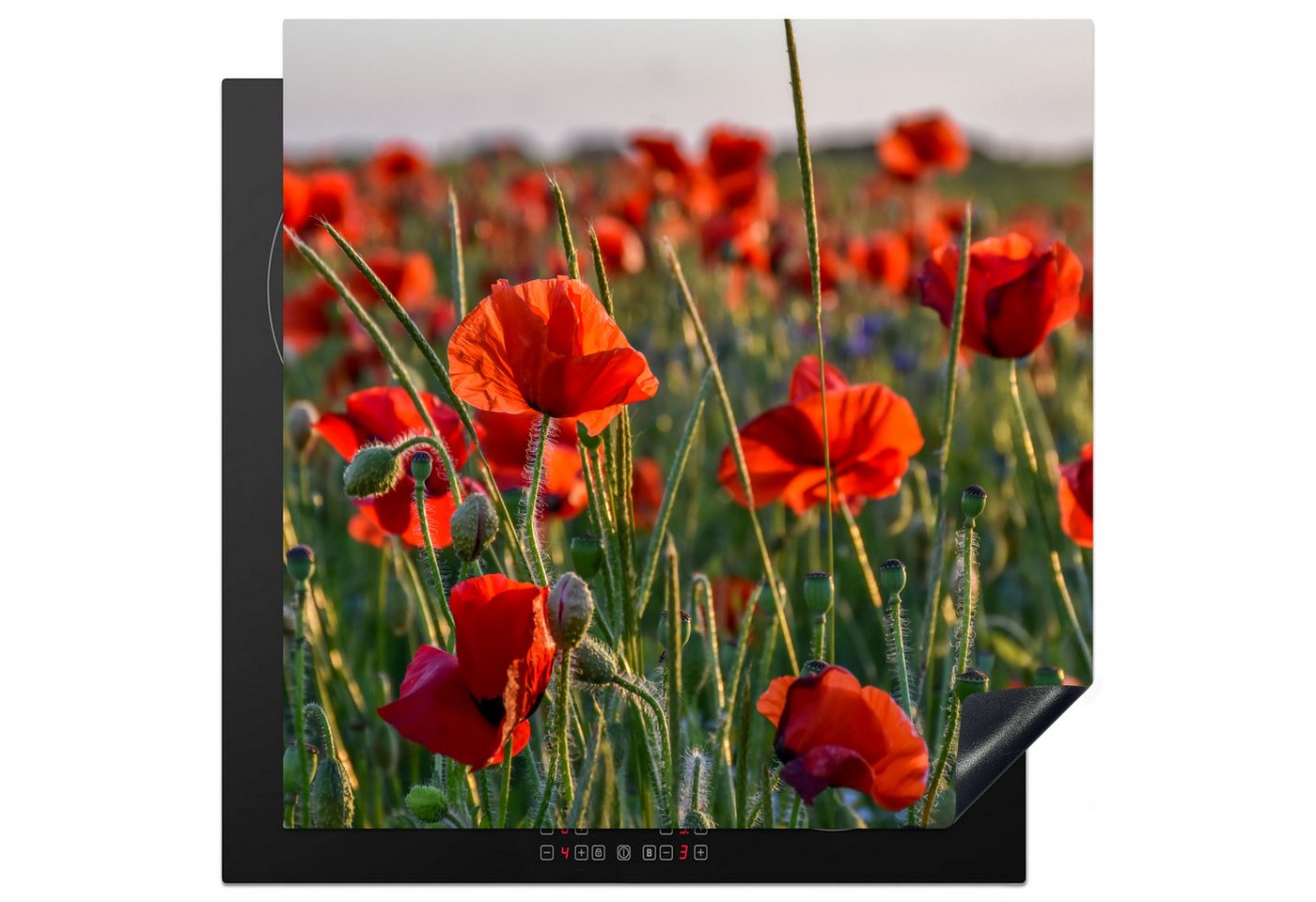 MuchoWow Herd-Abdeckplatte Mohnblumen - Rot - Grün - Blumen, Vinyl, (1 tlg), Cerankochfeld Abdeckung, Herd Abdeckplatten Vinyl, 58x59 cm
