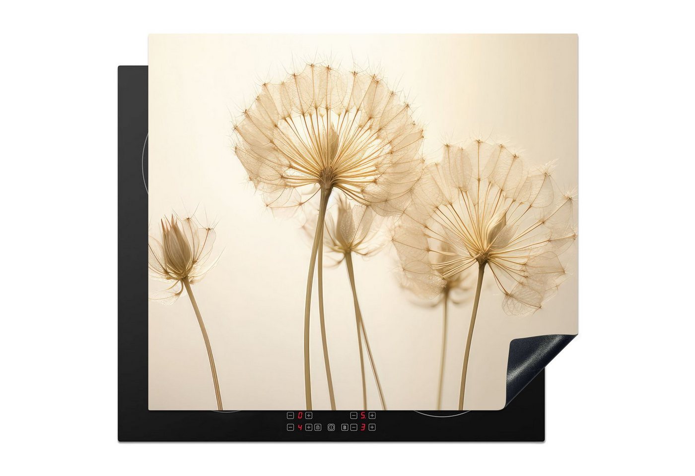 MuchoWow Herd-Abdeckplatte Sonnenlicht - Löwenzahn - Botanisch - Blumen, Vinyl, (1 tlg), Ceranfeldabdeckung Küche, Herdabdeckplatte Einteilig, 59x51 cm Bild 5