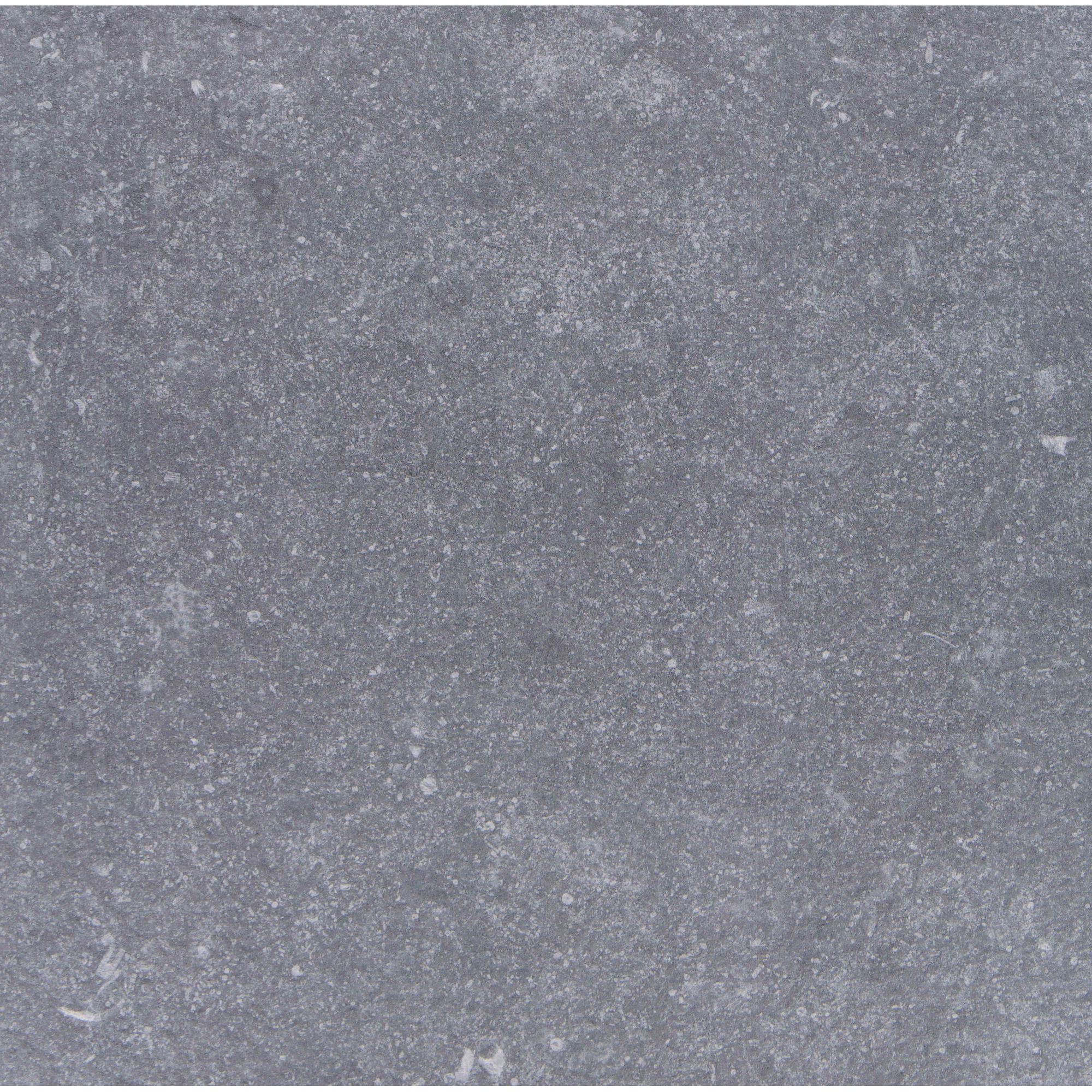 Bodenplatte 'Benet' Feinsteinzeug grau 60 x 60 cm