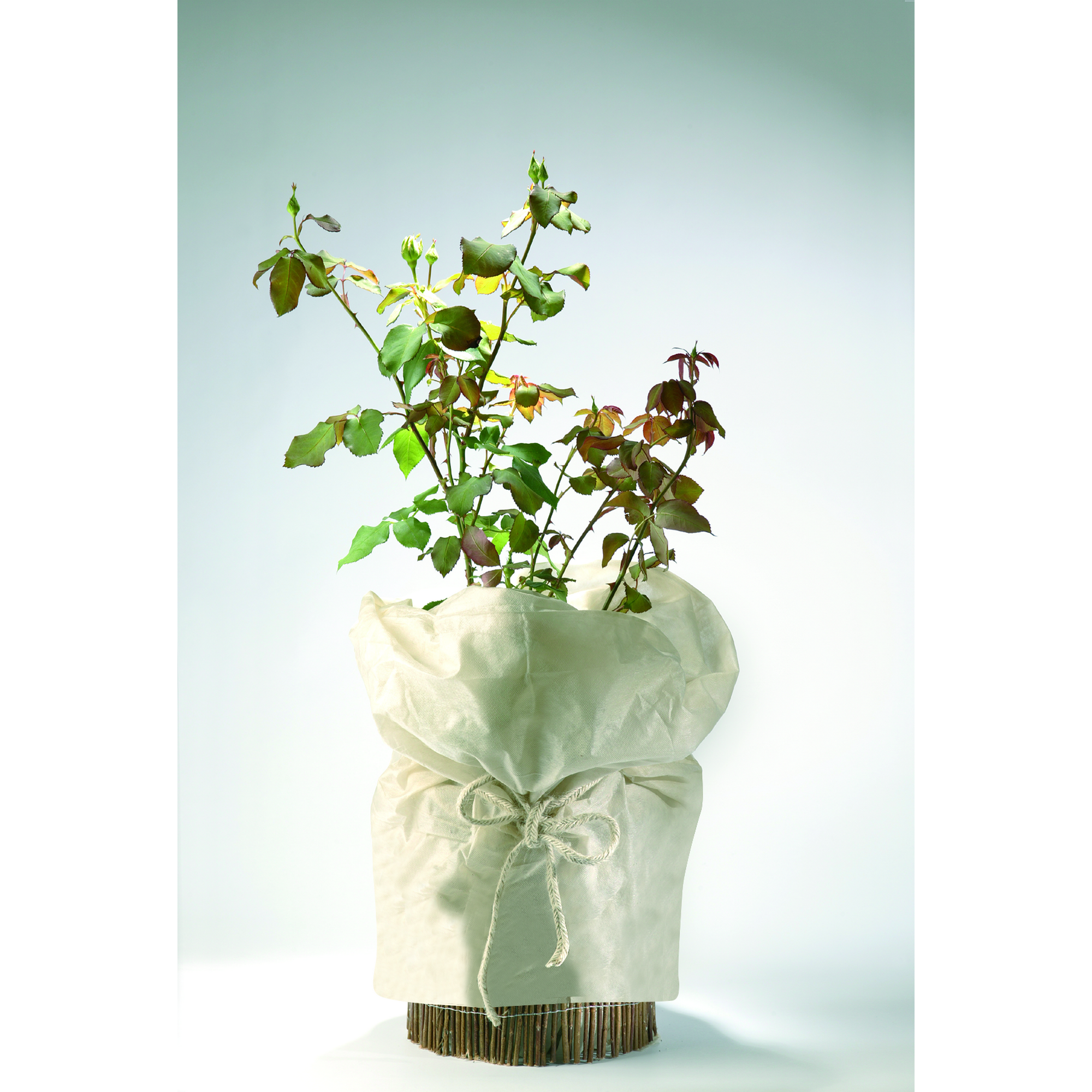 Topfschutzvlies 50 x 600cm beige