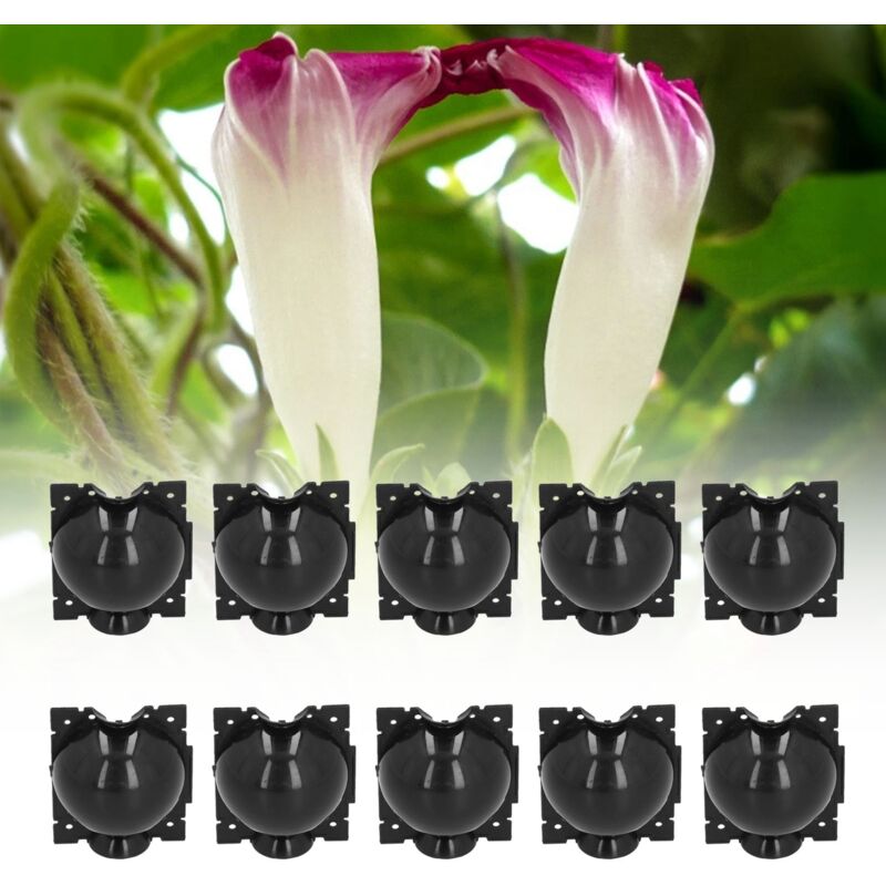 Amxcnoy 10 Sets 12cm Pflanzenbewurzelungsgeräte, Hochdruck-vermehrungskugelpfropfungsboxen, Schwarz,