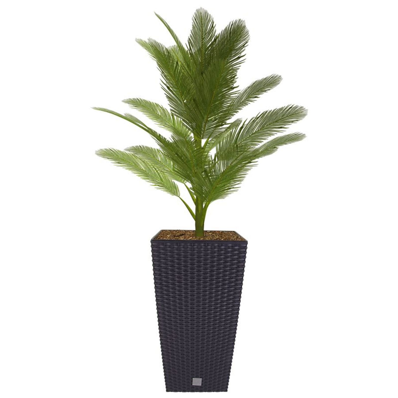 Buri - Polyrattan Pflanztopf Mit Einsatz 50,5cm Anthrazit Blumentopf Pflanztopf Kübel