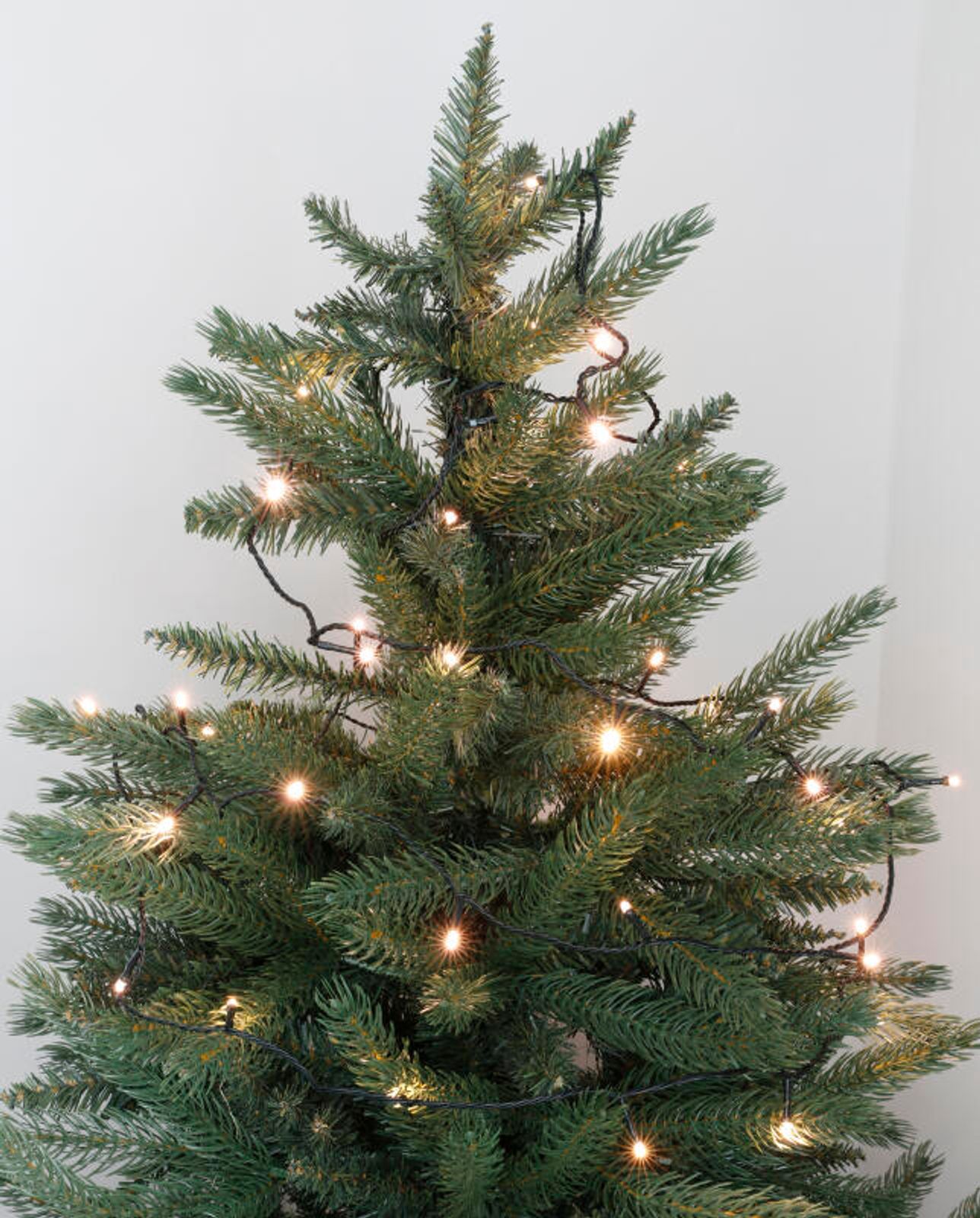 Buri - Led Lichterkette 50 Mit Timer