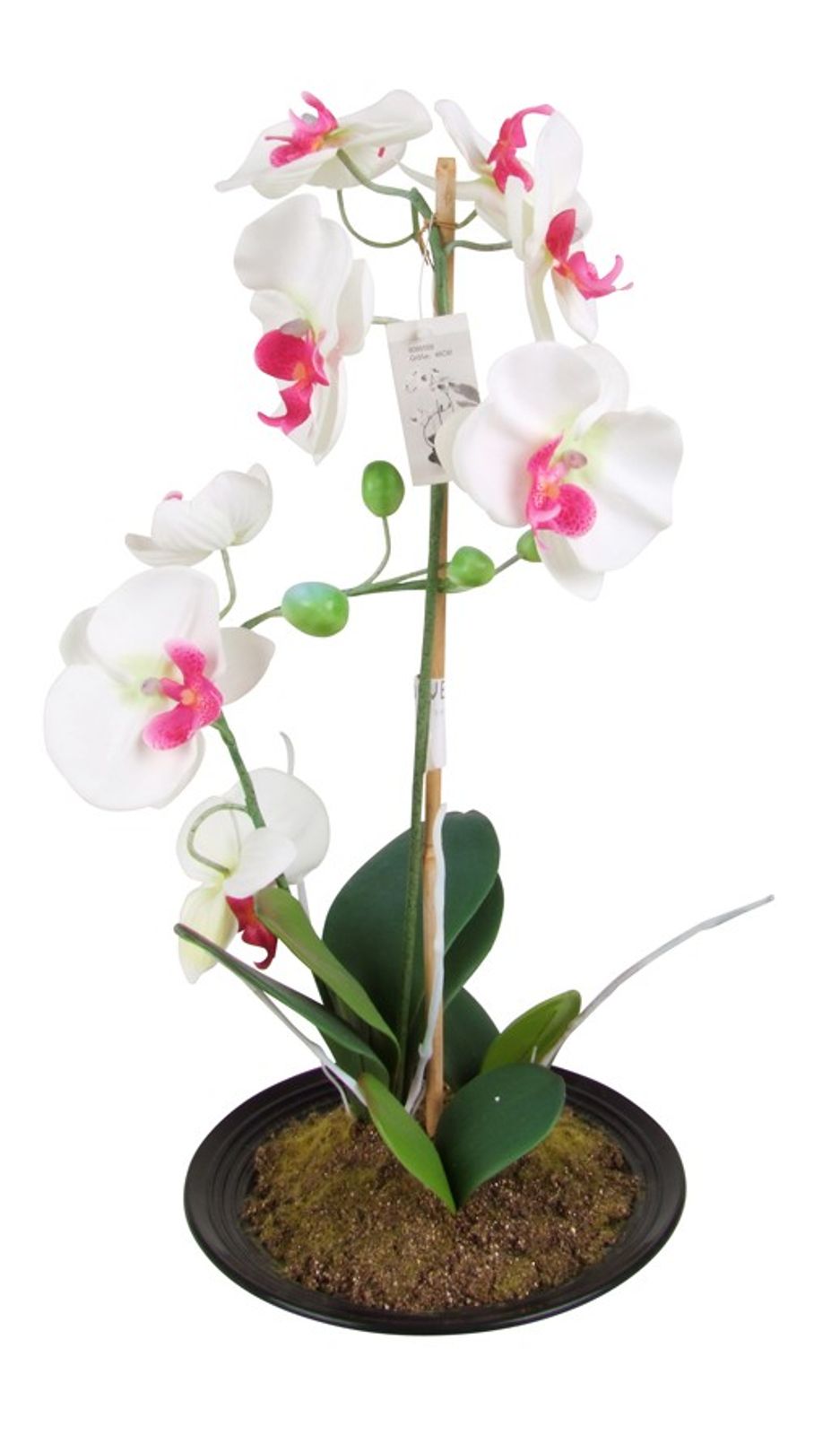 Buri - Künstliche Orchidee 2 Rispen Weiß/pink 50cm Kunstblume Phalaenopsis Kunstpflanze