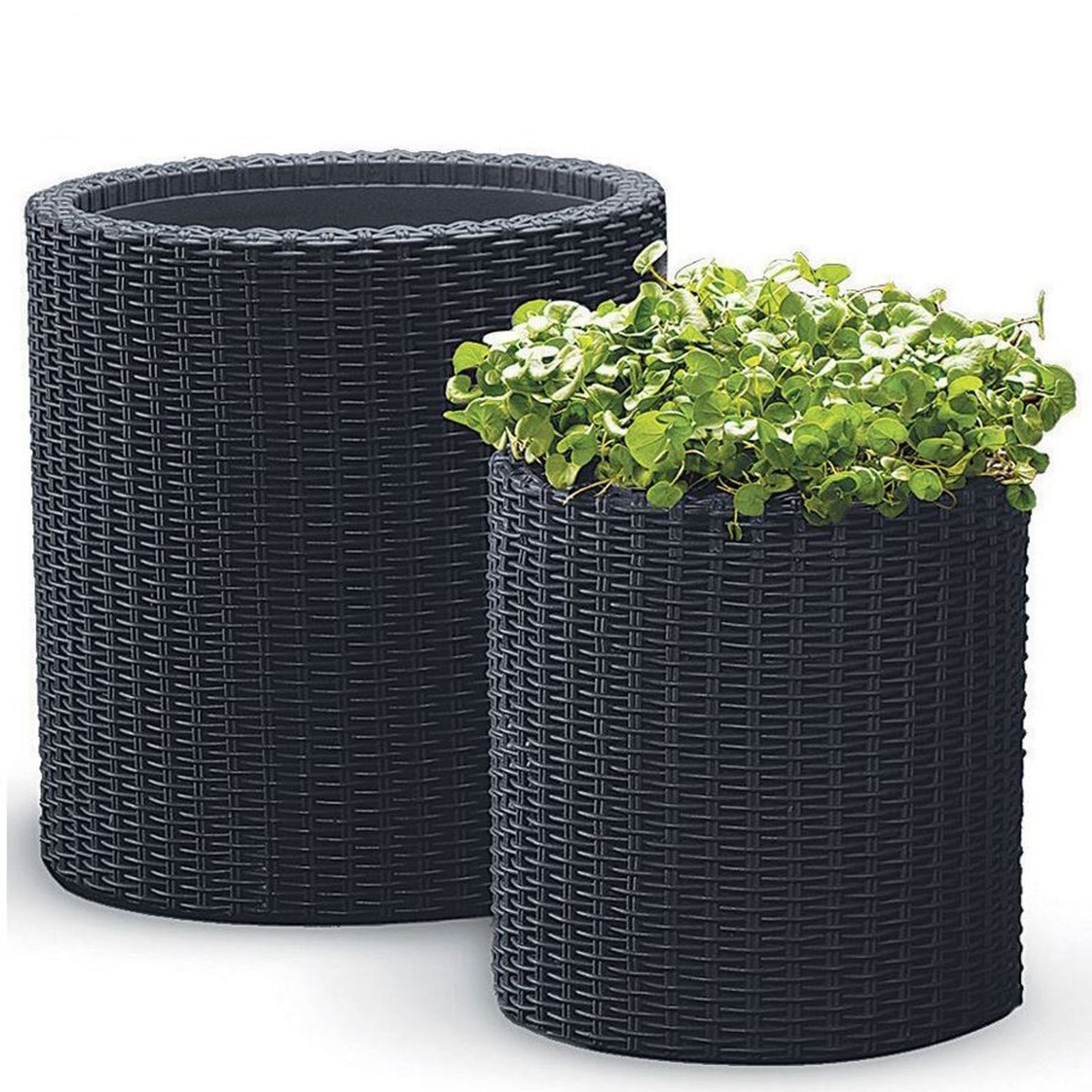 Blumenkübel 2er-set Rattanoptik Pflanzkübel Blumentopf Pflanztopf Deko - Keter