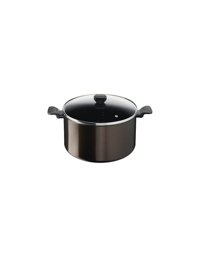 Alutopf 30cm + Glasdeckel Tefal B5546902
