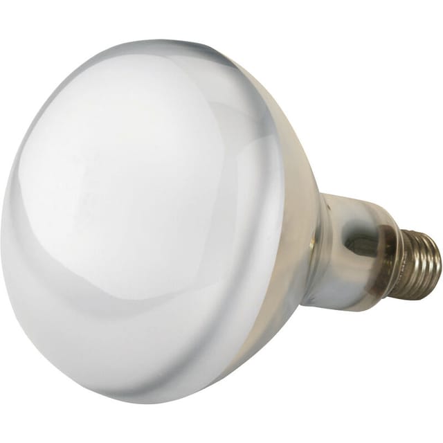 Kerbl Infrarotlampe Klar 150 W, Wärmelampe Für Schweine + Geflügel, Stalllampe