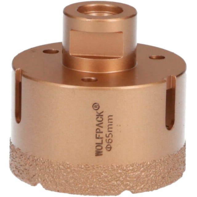 Corona Diamante M14 Ø 65 Mm.