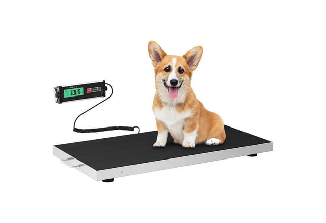 Steinberg Systems - Bodenwaage Tierwaage Industriewaage Schwerlastwaage 300 Kg Lcd 95 X 50 Cm