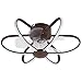 Lumit Deckenventilator Jura Braun D.53cm 5 Klingen, Mit Led 74w 5260lm 3000-6500k (braun)