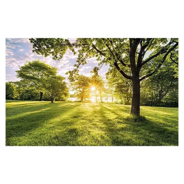 Vlies Fototapete - Golden Moment - Größe 400 X 250 Cm