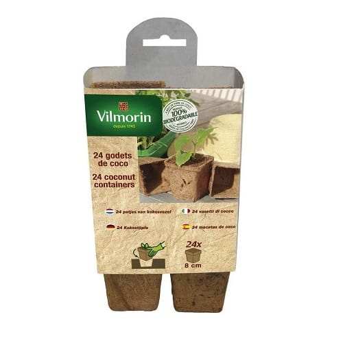 24 Quadratkokosnuss, 8 Cm - Vilmorin