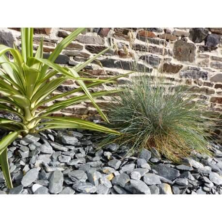 Schiefermulch Grau 30-60 Pack 13 M² - 31 Säcke - 775 Kg