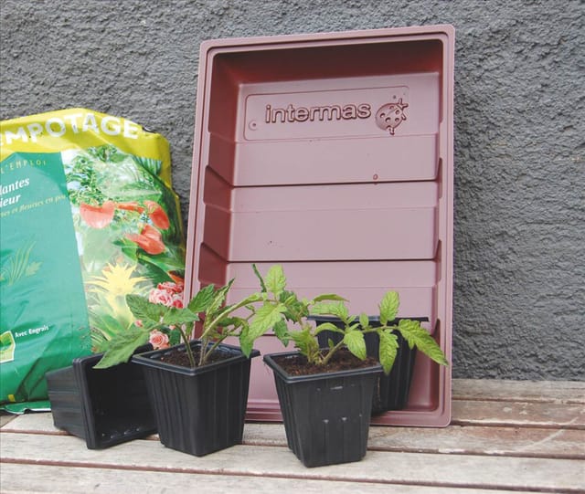 7 Nortene Setzlingtöpfe Nortene
