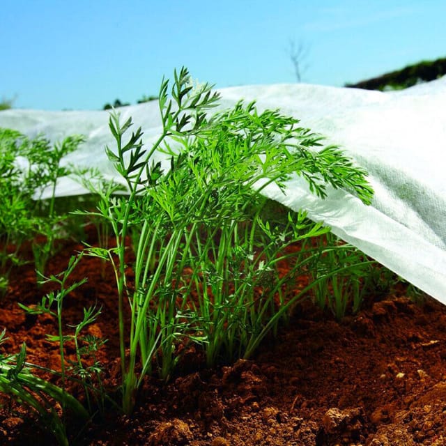 3,2 M X 5 M Vliesstoff Zum Schutz Von Pflanzen Vor Frost