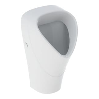 Renova Urinal Trigonal, Zulauf Von Hinten, Abgang Nach - Geberit