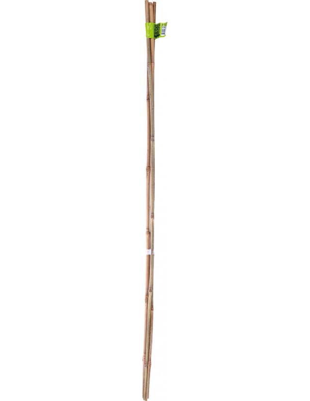 Bambus-stütze 180cm D12/14mmx - Nortene