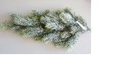 Trendline Tannenzweig Mit Schnee, 65 Cm Trendline 2076601554066 Mit Tannenzweig Schnee 2076601554066 Trendline