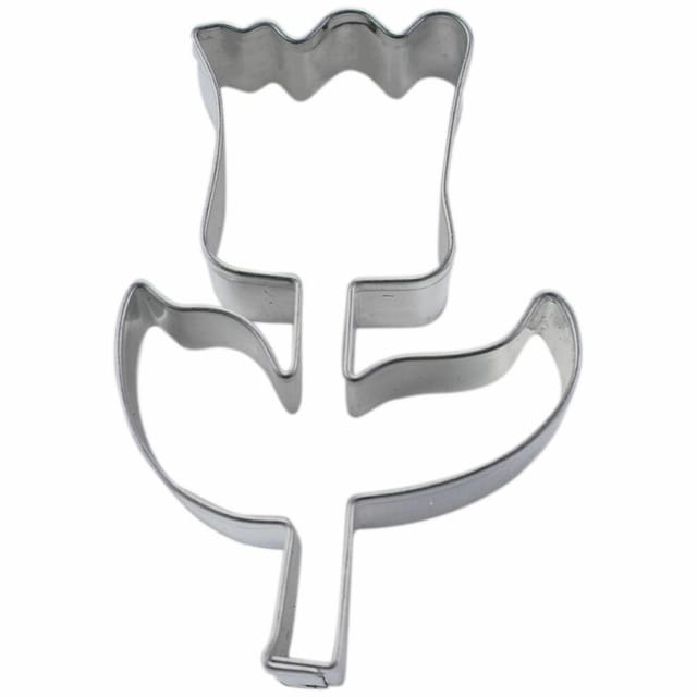 Städter Tulpe 5,5 Cm