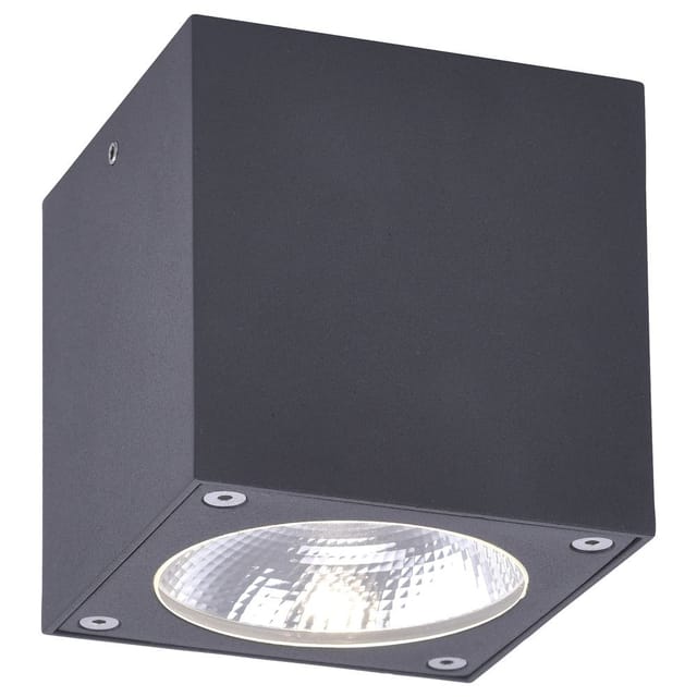 [neu.haus] - Paul Neuhaus 9674-13 Georg Außendeckenleuchte Led 7 W Anthrazit