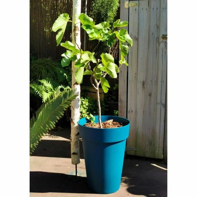 Blumentopf Riss 53 Cm Blau Kunststoff