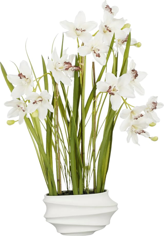 Mica Decorations - Mica Cymbidium Im Topf Creme 49 X 40 X 81 Cm Eingetopft