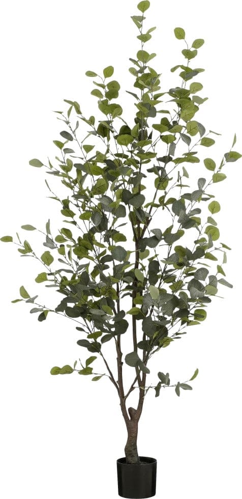 Mica Decorations - Mica Eukalyptusbaum Im Topf Grün Polyester 180 Cm Eingetopft