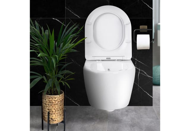 Hänge Wand Dusch Wc Spülrandlos Toilette Taharet/bidet Ventil Vorwandelement Set - Geberit