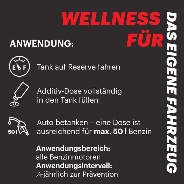 Benzin Systempflege 300ml - Motul