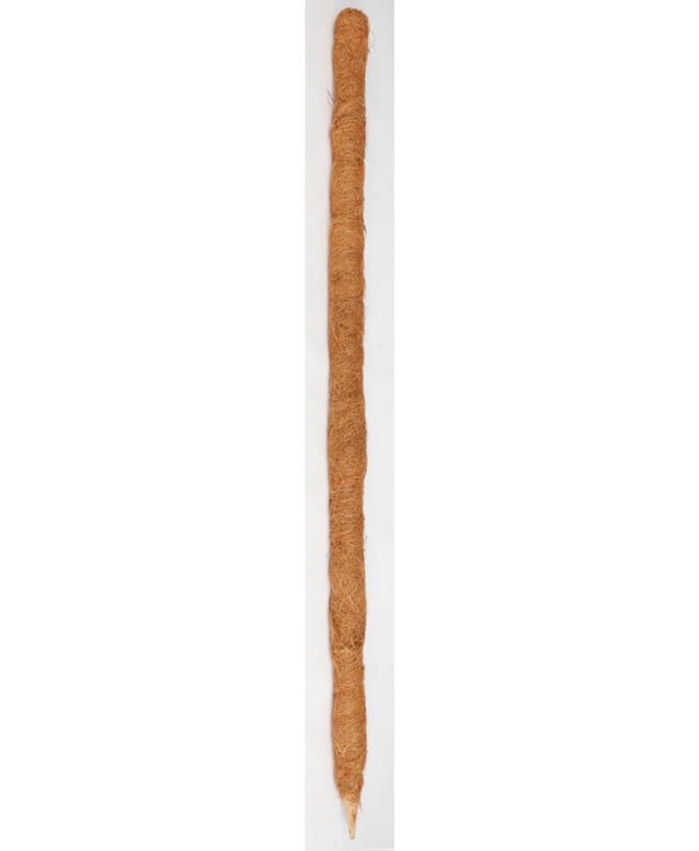 Buri - 24x Stab Holz Kokos Stangen Stütze Stäbe Kletterpflanzen Ranken Hilfe Garten