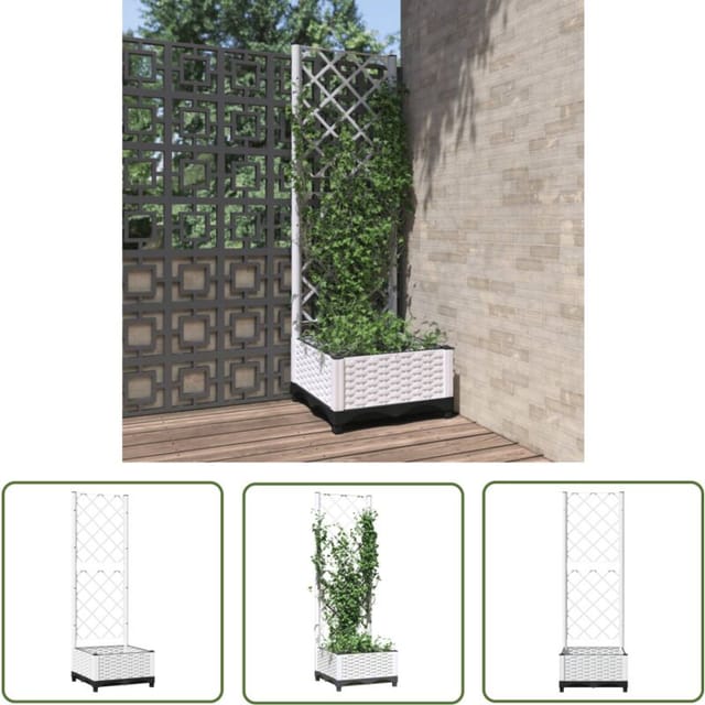 The Living Store - Pflanzkübel Mit Rankgitter Weiß 40x40x121,5 Cm Pp - Blumentopf - Pflanzenbehälter - Kletterpflanze - Rankgerüst - Gartengeräte