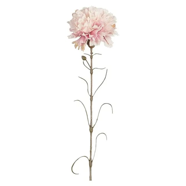 Mica Nelke Rosa Polyester 66 Cm Ast, Stängel & Zweig