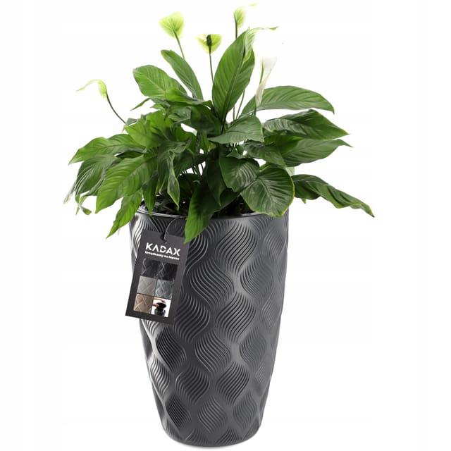 Blumentopf Mit Einsatz Und Griffen, Aus Kunststoff, 58.5 Cm, Anthrazit - Kadax
