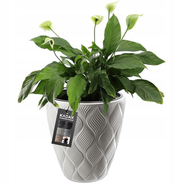 Kadax Blumentopf Mit Einsatz Und Griffen, Pflanzkübel Aus Kunststoff In 5 Größen, Uv-resistenter Top