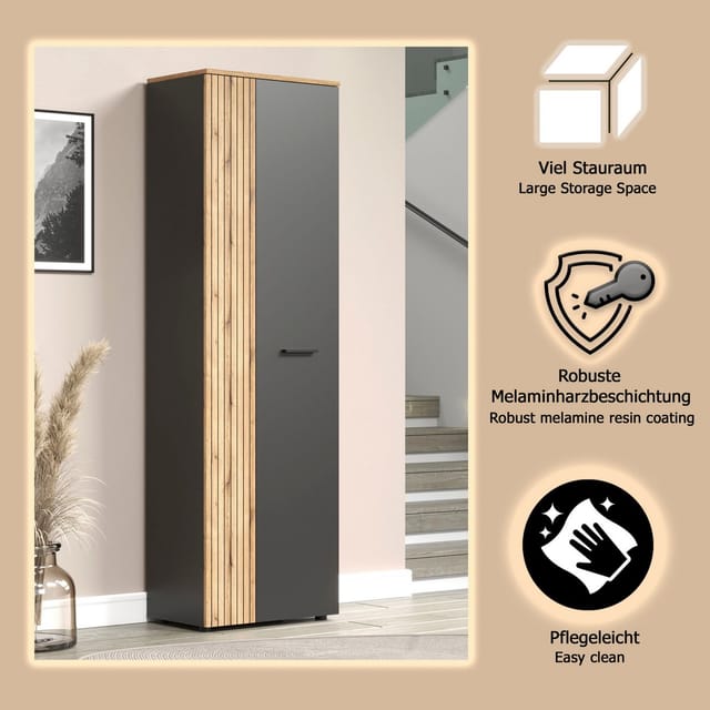 Ebuy24 - Esteban Kleiderschrank Grau, Eiche Dekor.