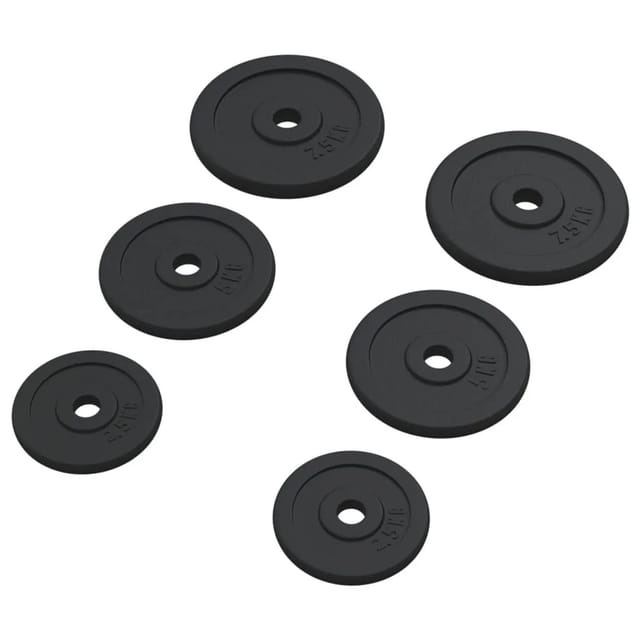 Hantelscheiben 6 Stk. 30 Kg Gusseisen Vidaxl