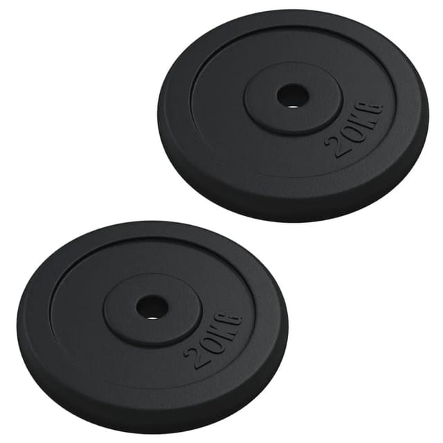 Hantelscheibe 40 Kg Gusseisen Vidaxl