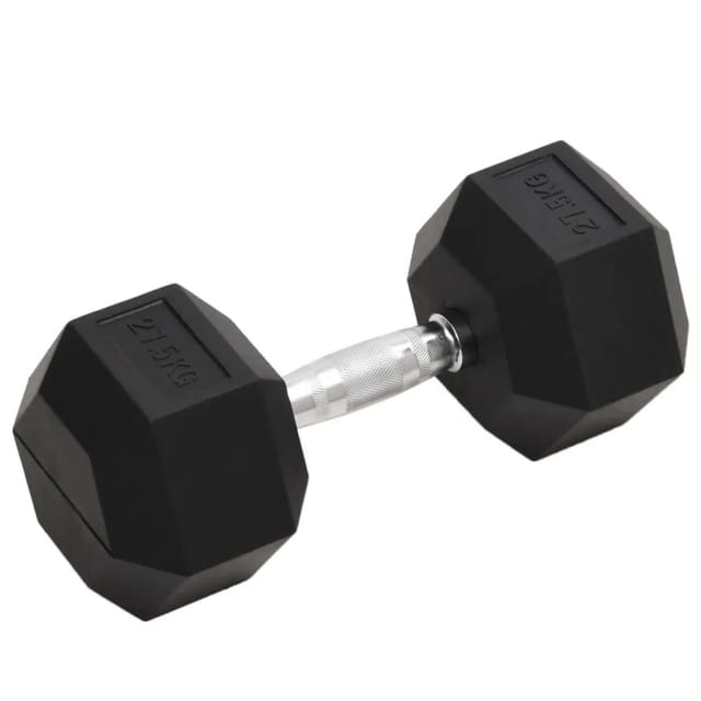 Kurzhantel 27,5 Kg Gusseisen Vidaxl