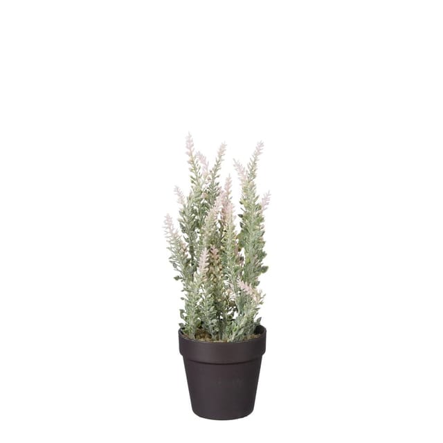Mica Künstlicher Lavendel Im Topf Rosa 24 X 10 Cm Dekoblumen
