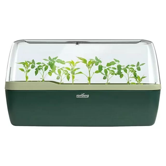 Romberg Boqube L Plus Green Edition Gewächshaus & Pflanzkasten, 41x17x23