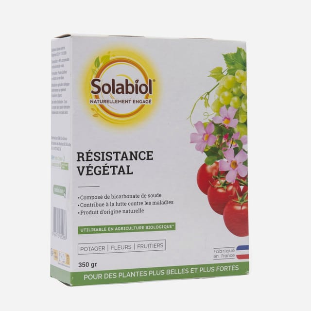 Natriumbicarbonat 350 G Solabiol