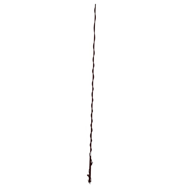 Longierpeitsche Classic - Schwarz - 120 Cm