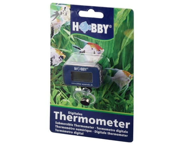 Digitales Thermometer - Hobby
